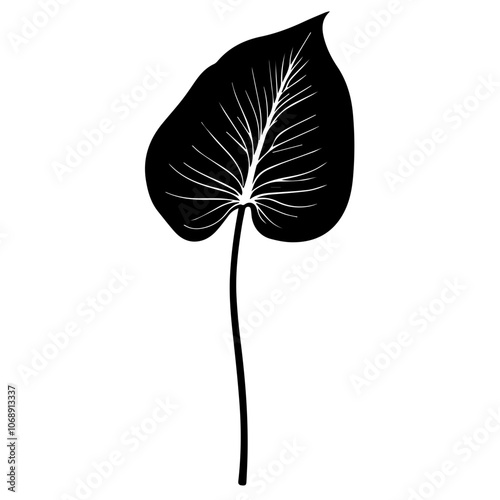 Elegant peace lily silhouette showcasing intricate leaf patterns, perfect for botanical art, wall decor, or design projects centered around nature's beauty