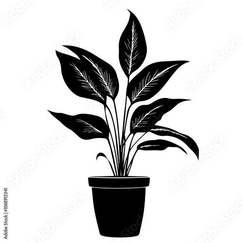 Vector illustration of a peace lily plant in a simple pot, showcasing its distinct leaves and elegant shape, perfect for home decoration or botanical designs