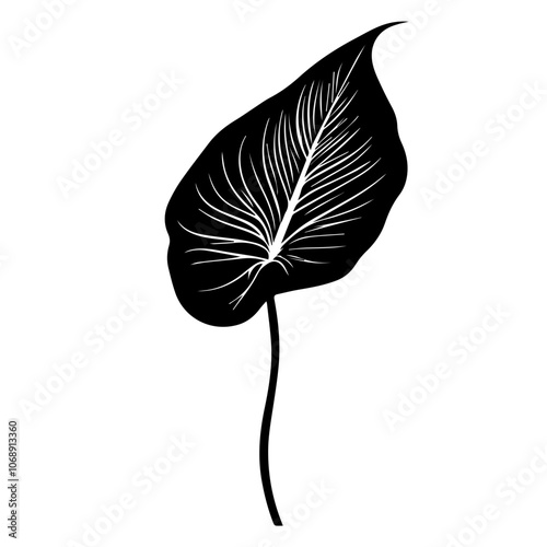 A detailed depiction of a peace lily leaf showcasing its unique shape, elegant veins, and slender stem, perfect for botanical illustrations or design projects