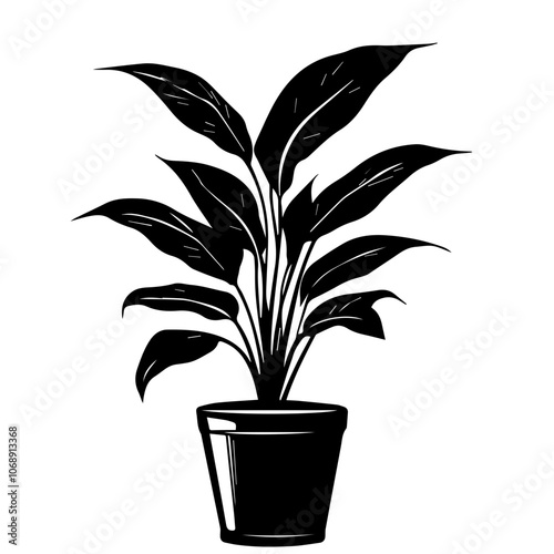 Elegant peace lily in a stylish black pot, showcasing its lush green leaves, emphasizes tranquility and natural beauty perfect for indoor settings
