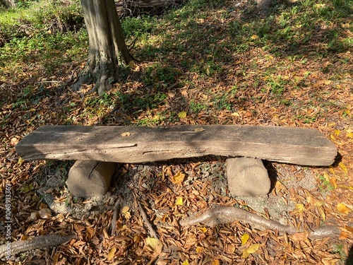 Rustic Wooden Bench in Forest Setting
