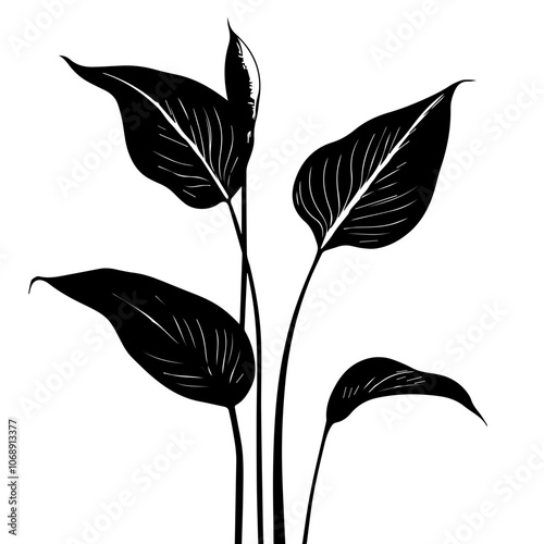 Stylized peace lily plant with elegantly shaped leaves, showcasing a minimalist design, perfect for modern decor or nature-inspired artwork