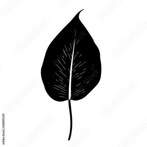 A minimalistic peace lily leaf design showcasing its elegant shape and intricate veining in a contemporary vector format, ideal for botanical illustrations or modern decor