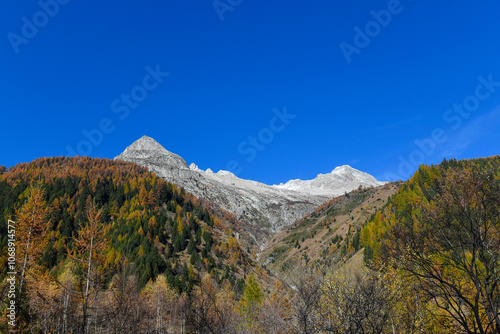 autumn landscape in the mountains, with yellow and orange larches and blue sky