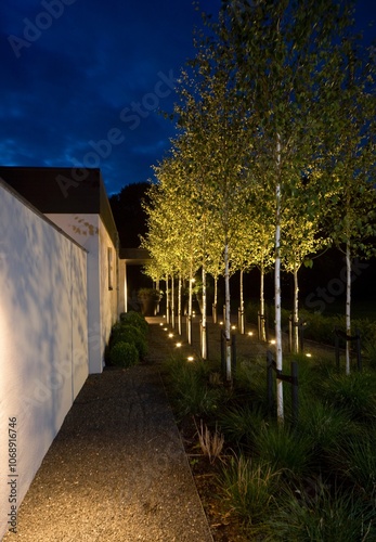 Modern Dutch architecture. garden of a modern villa. Birch trees. Twilight.