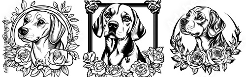 The illustration of a black and white beagle is decorated with roses, leaves, and paw prints