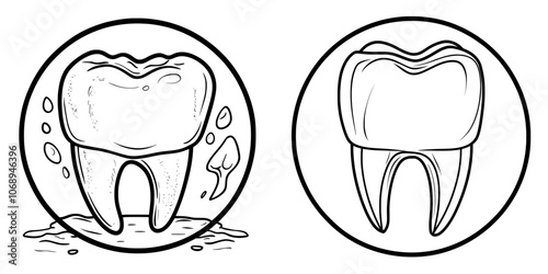 Editable molar, premolar, tooth icon. Dental, healthcare, medical. Perfect for app and web interfaces, presentations, infographics, etc.
