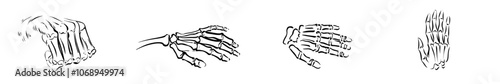 In this modern illustration, a hand skeleton appears in a single line.