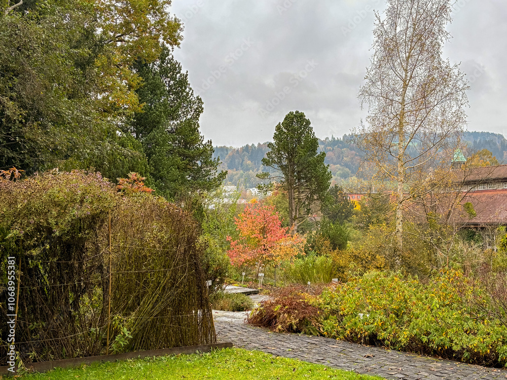 Beautiful autumn scenery in a botanical park in Saint Gallen in Switzerland