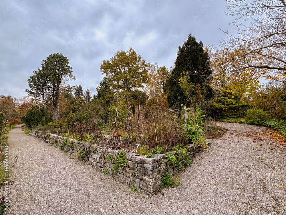 Fototapeta premium Beautiful autumn scenery in a botanical park in Saint Gallen in Switzerland