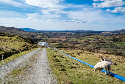 The blue water supply pipe coming from of Lough Anna, the drinking water supply for Glenties and Ardara - County Donegal, Ireland photo