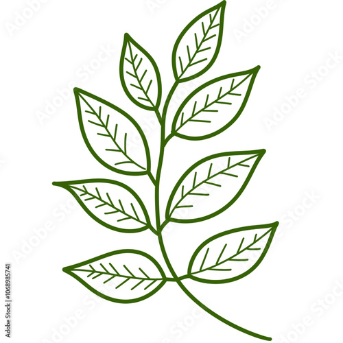 green leaf vector