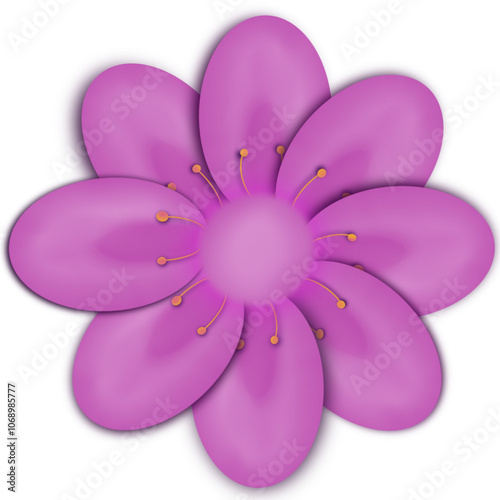 pink flower isolated on white