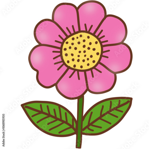 flower isolated on white