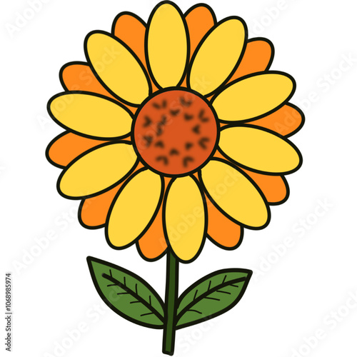 sunflower isolated on white