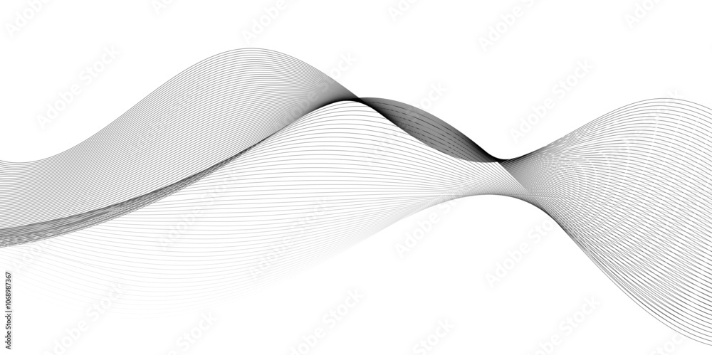 Abstract black lines wave curve motion on white, Abstract black lines wave curve motion on white