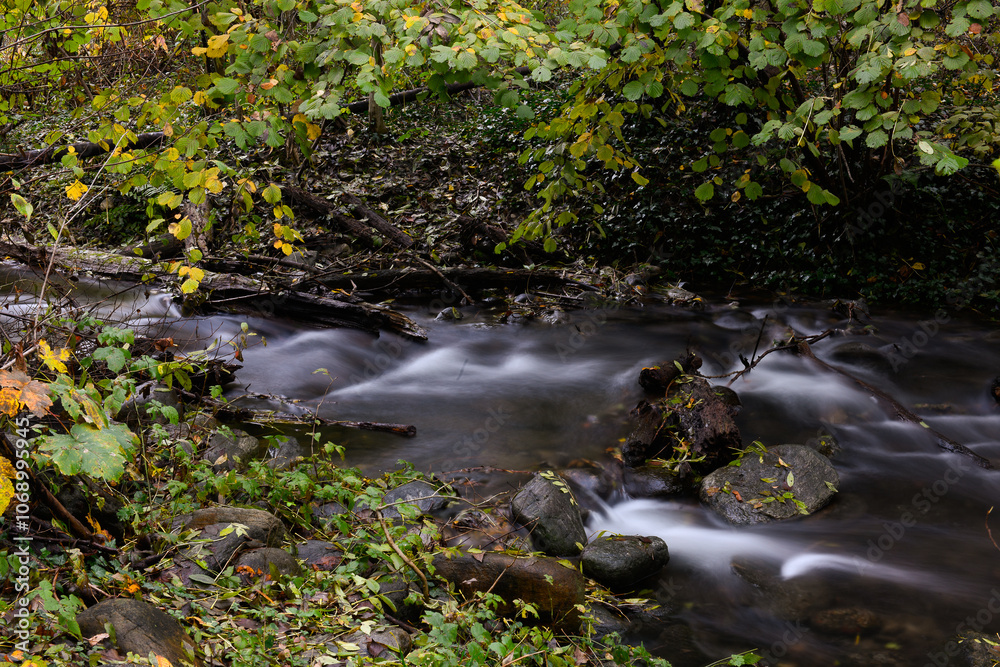 River flowing in autumn between yellow and red colored trees River flowing in autumn between yellow and red colored trees