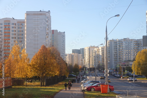 yellow autumn trees against the background of residential buildings in the Yuzhnoye Butovo landscape park, November 2024 photo