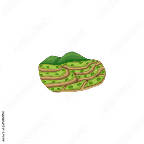a landscape of rice terraces in front of a mountain.