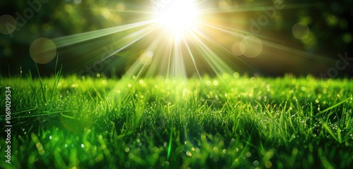 Radiant Sunrise Shining Over Dewy Green Lawn