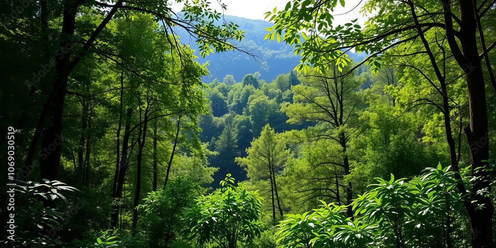 Lush and vibrant forest with tall trees, dense foliage, and sunlight streaming through the canopy, forests, peaceful Lush and vibrant forest with tall trees, dense foliage, and sunlight streaming through the canopy, forests, peaceful