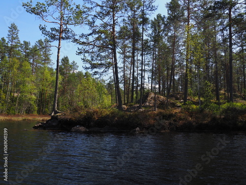Lake in the forest in Norway