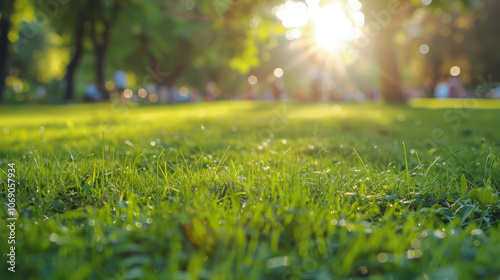 .ChatGPT.In the early morning sunlight, the green grass and towering trees in the backyard create a picturesque scene of growth and earthy beauty.