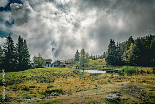 Eine Alm mit Viehwirtschaft in Südtirol in den Alpen - An alpine pasture with livestock farming in South Tyrol in the Alps