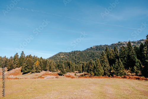 Fields and fir forest in Pertouli, Greece photo