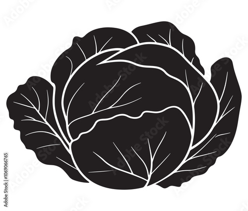 Illustration of a cabbage with a leaf, Cabbage silhouette icon, Illustration of a cabbage