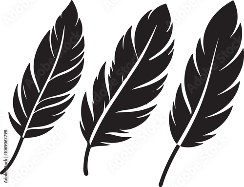 feather isolated vector feathers silhouette feathers icon illustration eps 10 feathers background black feather
