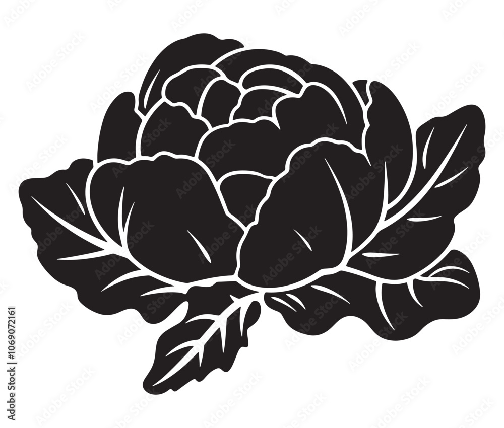 Obraz premium Illustration of a cabbage with a leaf, Cabbage silhouette icon, Illustration of a cabbage
