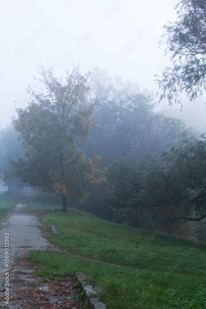 Autumn in Moldova, foggy landscape in the park. Thick fog early in the morning on the lake shore.