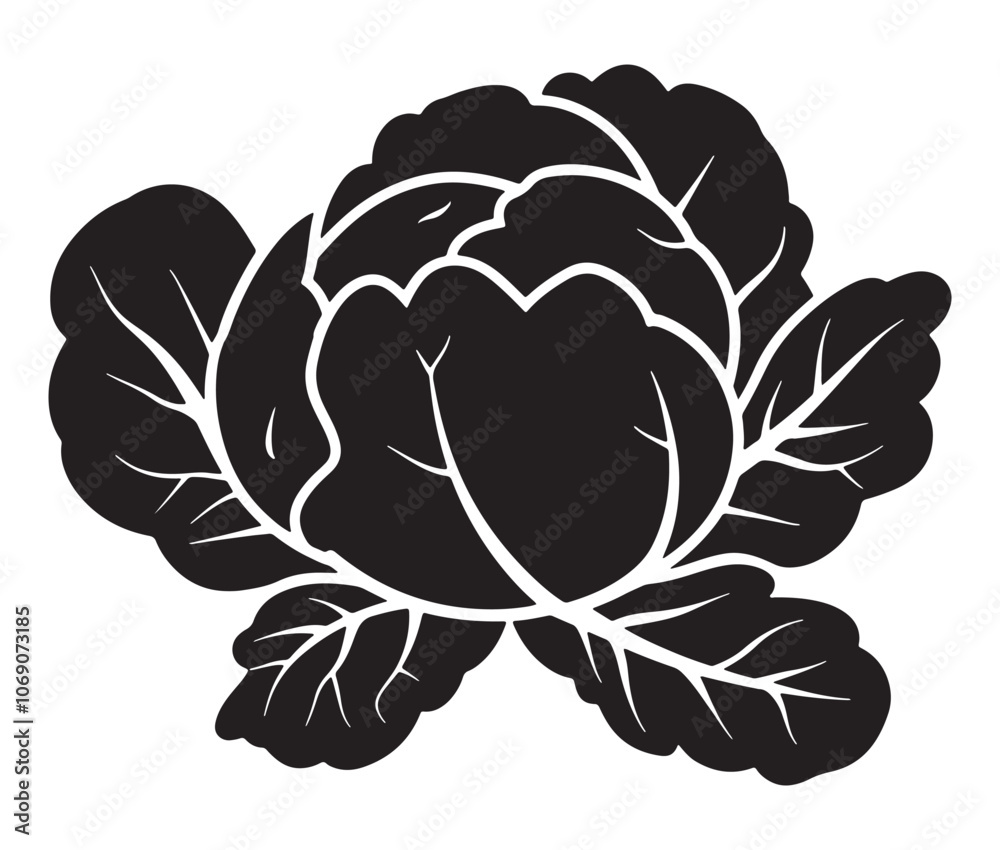 Obraz premium Illustration of a cabbage with a leaf, Cabbage silhouette icon, Illustration of a cabbage