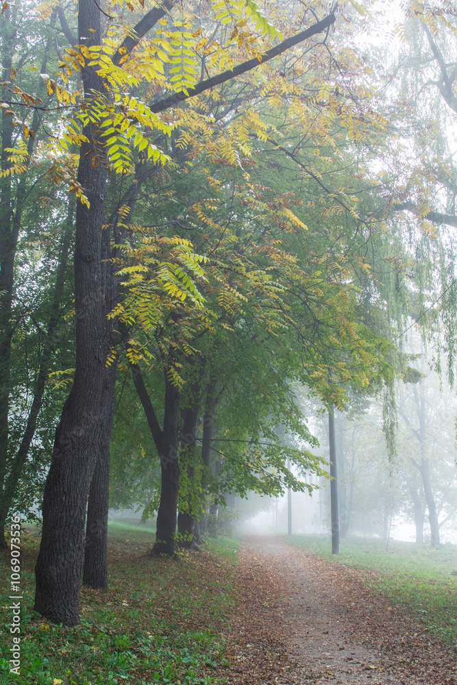 Autumn in Moldova, foggy landscape in the park. Thick fog early in the morning on the lake shore.