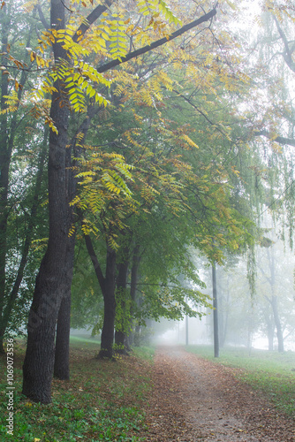 Obraz na płótnie Autumn in Moldova, foggy landscape in the park. Thick fog early in the morning on the lake shore. w salonie