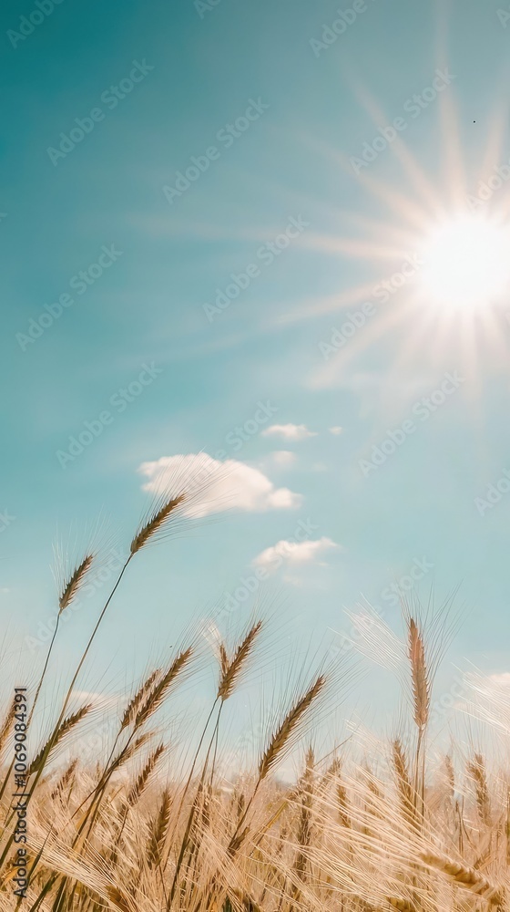 Obraz premium Sunlit Wheat Fields Swaying in the Breeze