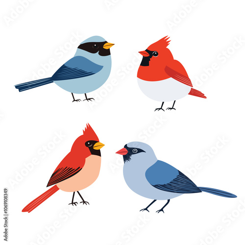 Set of vector illustration of winter birds on white background photo