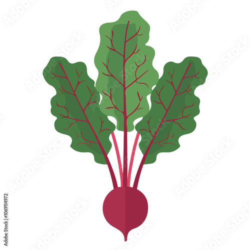 2D flat vector illustration beet greens icon isolated on a white background.

