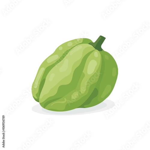 2D flat vector illustration chayote icon isolated on a white background.

