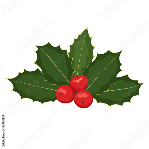 Christmas holly berry. Green leaves and red berries isolated on white background. Elements suitable for decorative Christmas festival, New year invitations, greeting cards.