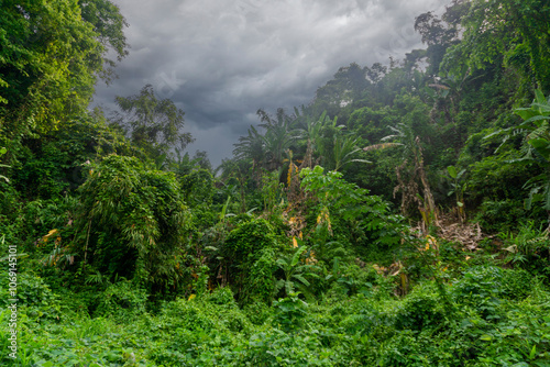 Green hills under thick clouds. Beautiful landscape with cloudy sky. Aerial view of a beautiful hilly landscape in Bandarban, Bangladesh. photo