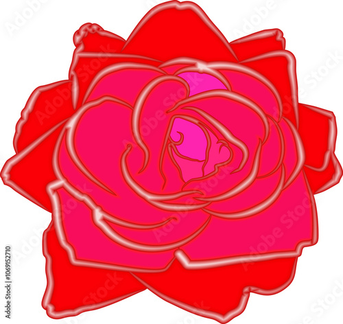 red rose and magenta tones with light edges