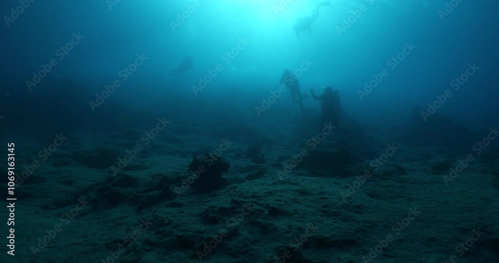 scuba divers underwater exploring the reefs mediterranean sea