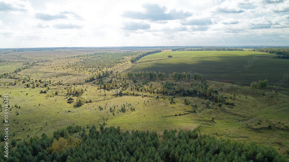 Fototapeta premium Green expanses