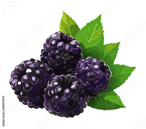 Blackberries