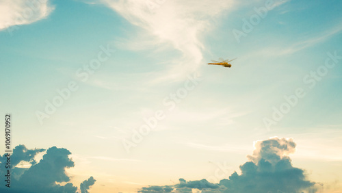 A large king grasshopper is flying like a helicopter across the vast sky. photo