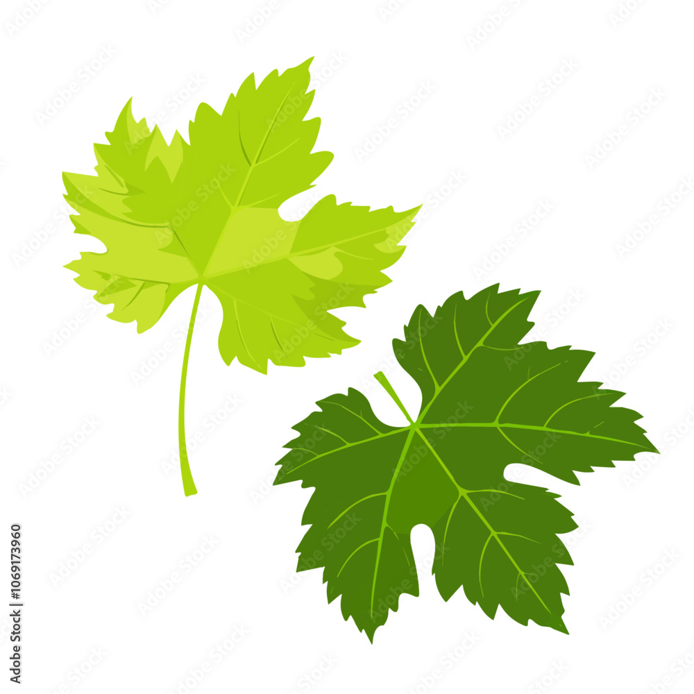 2D flat vector illustration grape leaves icon isolated on a white background.
2D flat vector illustration grape leaves icon isolated on a white background.