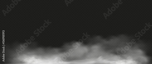 White smoke or fog flow on floor. Large mist in dark room on black background. Smoke on stage studio
