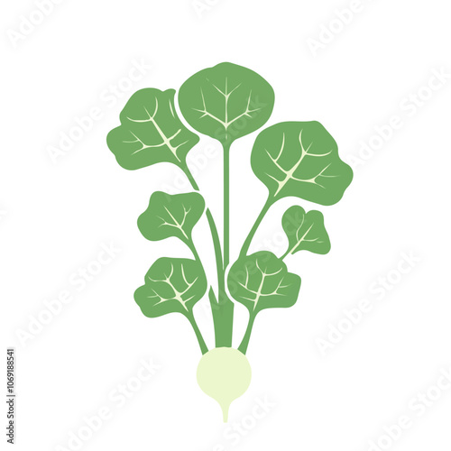 2D flat vector illustration kohlrabi greens icon isolated on a white background.


